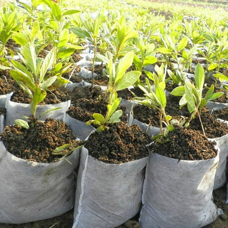 400 Pieces 4 Sizes Biodegradable Non-woven Nursery Bags Plant Grow Bags 400 Pieces 4 Sizes Biodegradable Non-woven Nursery Bags Plant Grow Bags